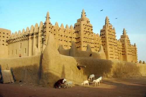 DMC in Mali